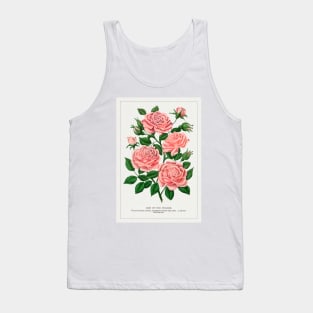 Pink rose, Gem of the Prairie lithograph (1900) Tank Top